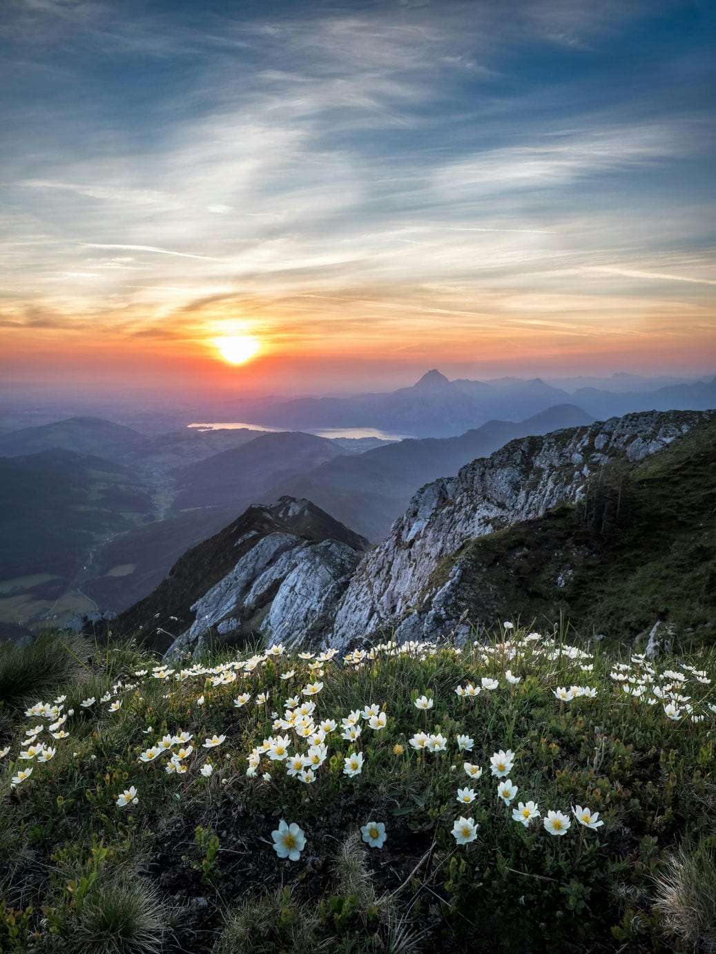 Sustainable Choices, Enduring Legacy: Protecting Nature for Future Generations-Sustainability