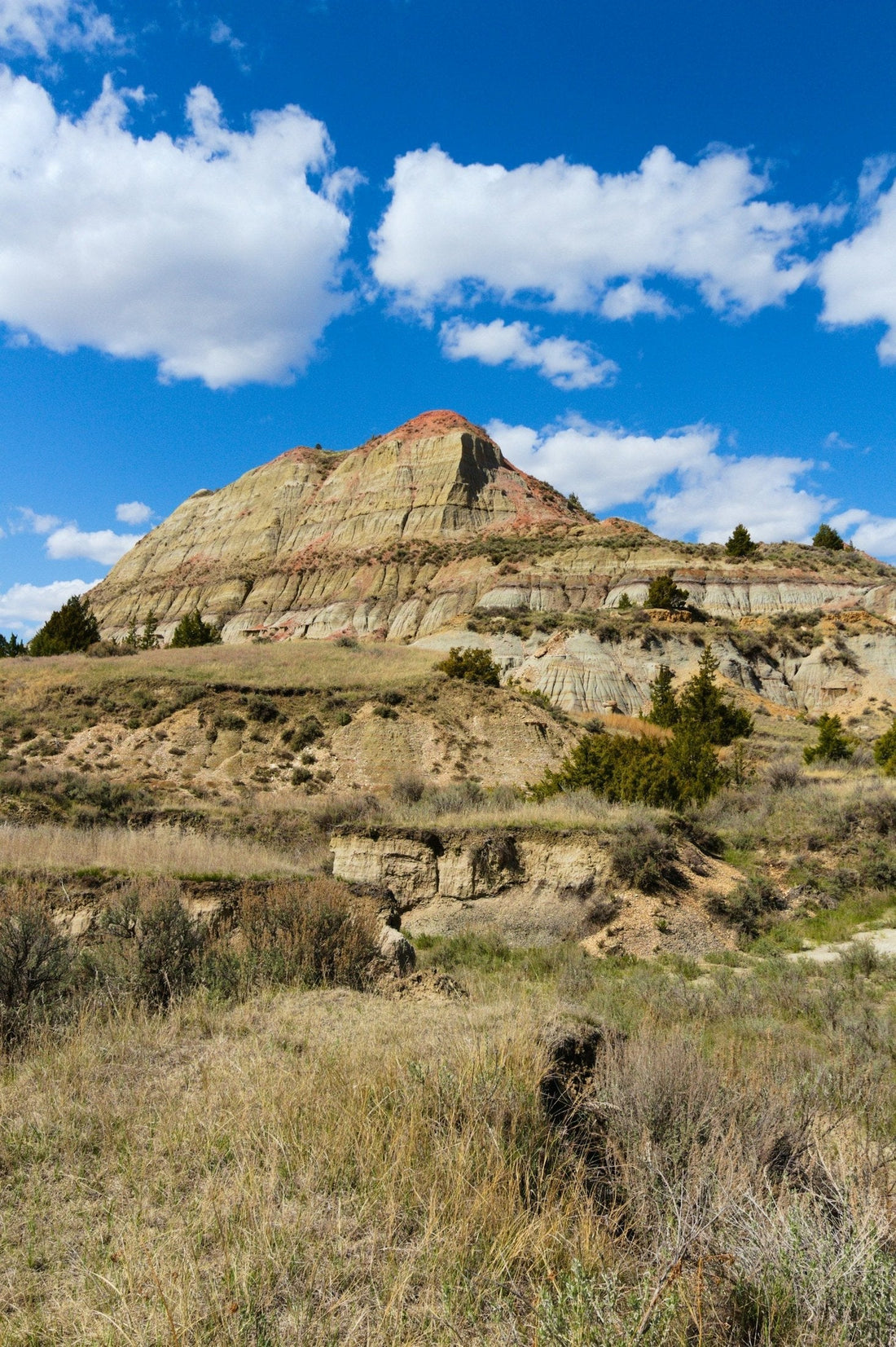 Theodore Roosevelt National Park: Explore the Rugged Badlands of North Dakota