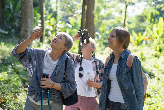 Feathered Friends: An Introduction to Bird Watching-Guides
