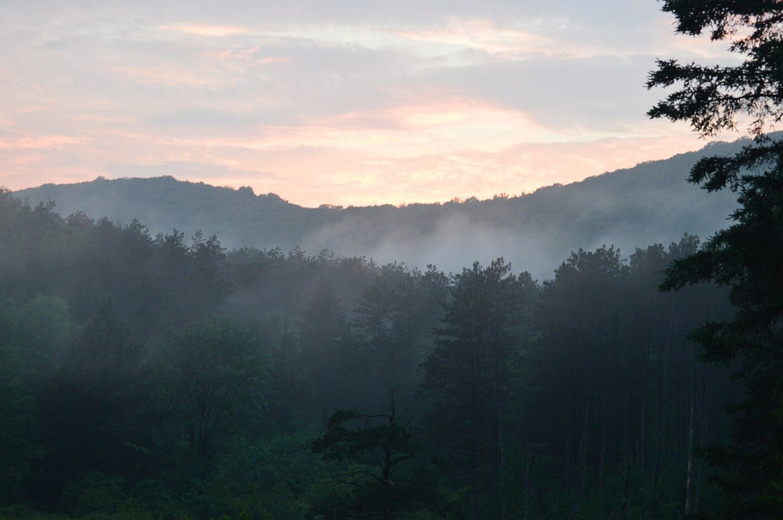 New York's Most Beautiful Nature Scenes: From Adirondacks to the Catskills-Adventures