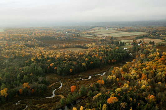 Pennsylvania's Top 10 Hiking Trails: Exploring the Keystone State's Natural Beauty-Nature Adventures