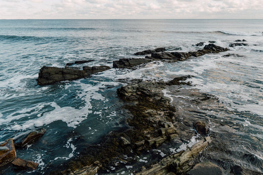 Rhode Island's Top 5 Hiking Trails: Exploring the Ocean State's Coastal Charm-Nature Adventures