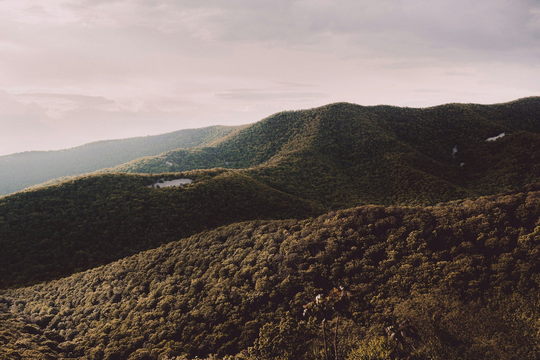 Shenandoah National Park: Explore the Blue Ridge Mountains of Virginia-Enjoy Nature