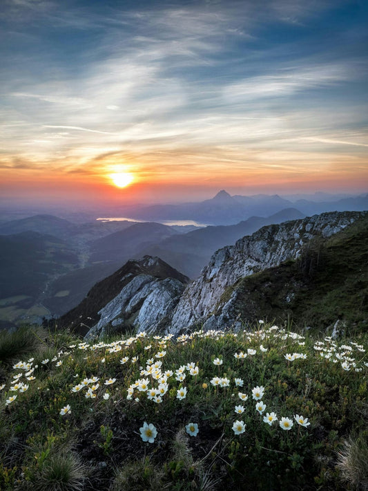 Sustainable Choices, Enduring Legacy: Protecting Nature for Future Generations-Sustainability