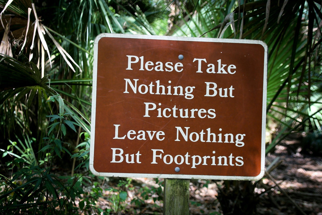 Trail Tales: Leave No Trace Follies and How to Avoid Them-Sustainability