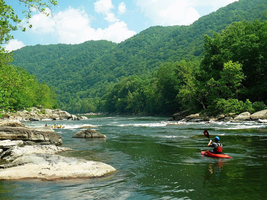 West Virginia's Top 10 Hiking Trails: Exploring the Mountain State's Wild and Wonderful Scenery - Wild Wisp Apparel